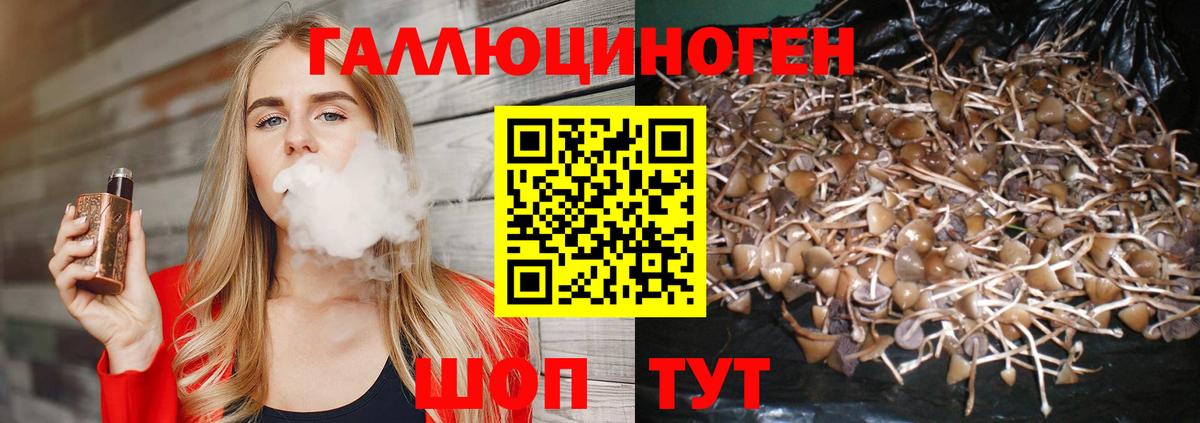 Галлюциногенные грибы Cubensis  Псилоцибиновые грибы прущие грибы  Вход с VPN  даркнет сайт  Анжеро-Судженск 